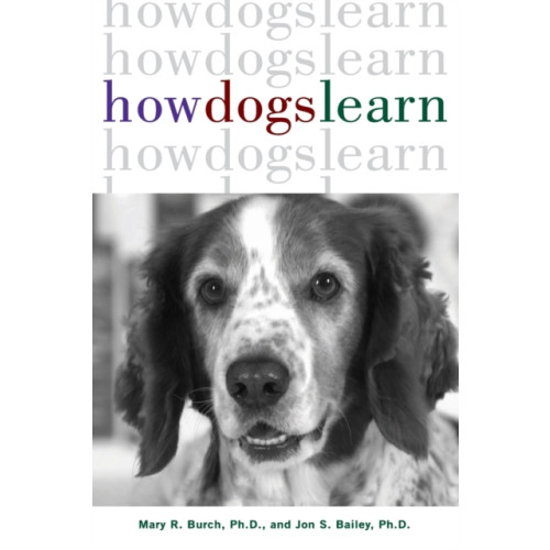 Turner Publishing Company How Dogs Learn (häftad, eng)