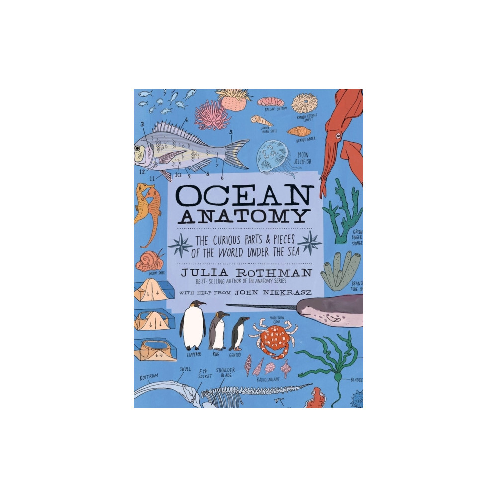 Produktbild för Ocean Anatomy (häftad, eng)