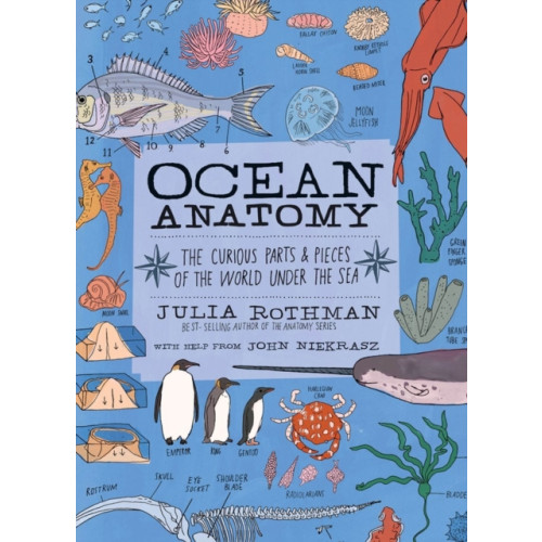 Workman Publishing Ocean Anatomy (häftad, eng)