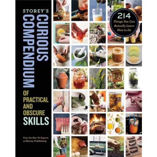 Workman Publishing Storey's Curious Compendium of Practical and Obscure Skills (inbunden, eng)