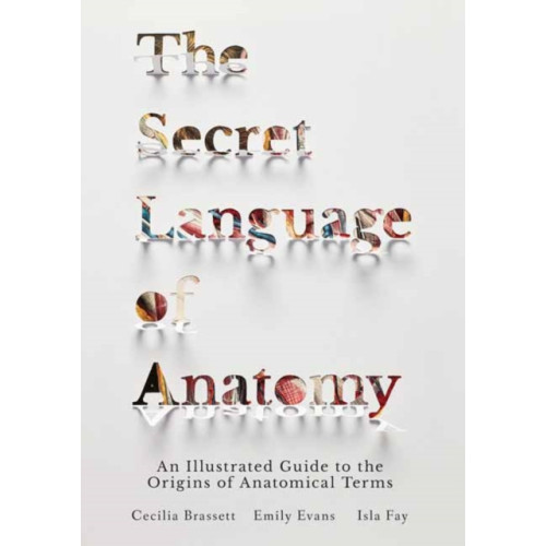 North Atlantic Books,U.S. The Secret Language of Anatomy (inbunden, eng)