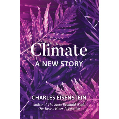 North Atlantic Books,U.S. Climate--A New Story (häftad, eng)