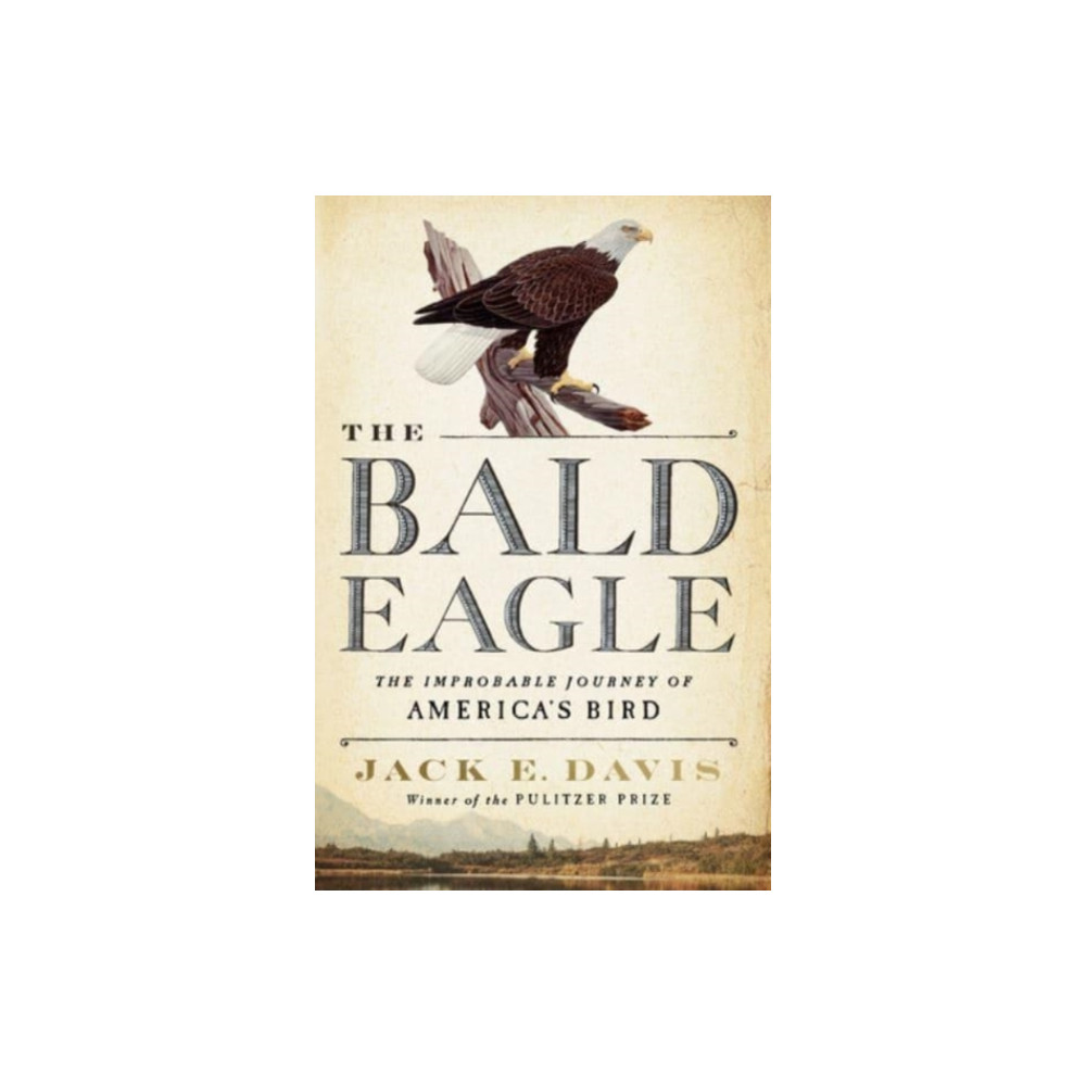 Produktbild för The Bald Eagle (inbunden, eng)