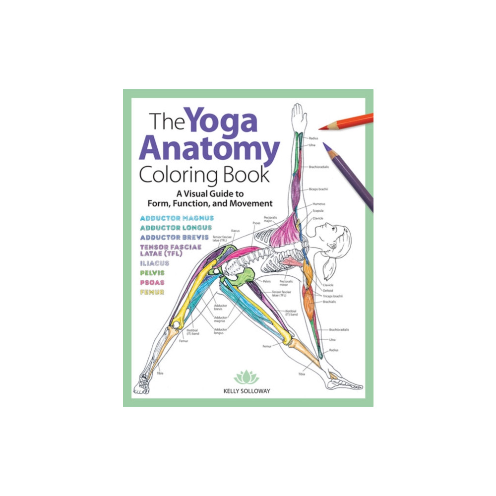 Produktbild för Yoga Anatomy Coloring Book, The (häftad, eng)
