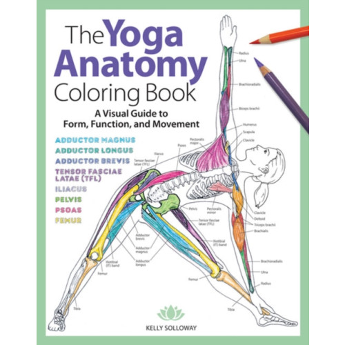 Mixed Media Resources Yoga Anatomy Coloring Book, The (häftad, eng)