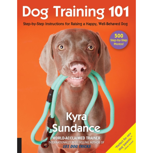 Quarto Publishing Group USA Inc Dog Training 101 (häftad, eng)