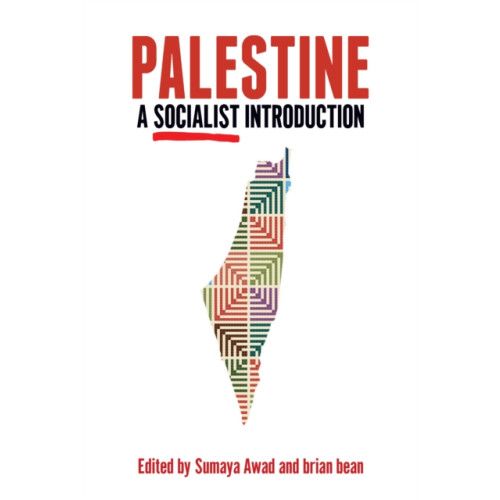 Haymarket Books Palestine: A Socialist Introduction (häftad, eng)