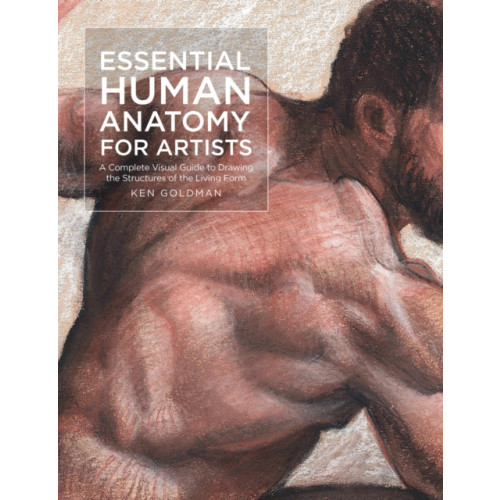 Quarto Publishing Group USA Inc Essential Human Anatomy for Artists (häftad, eng)