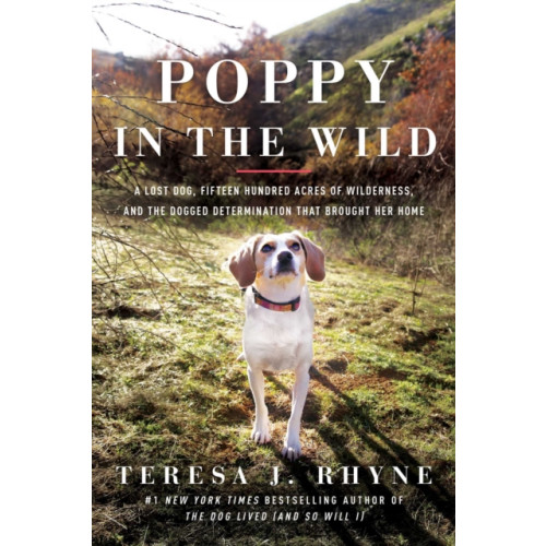 Pegasus Books Poppy in the Wild (häftad, eng)