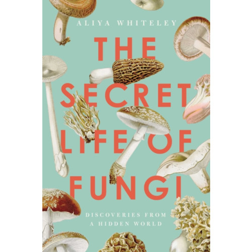 Pegasus Books The Secret Life of Fungi (häftad, eng)