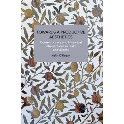 Haymarket Books Towards a Productive Aesthetics (häftad, eng)