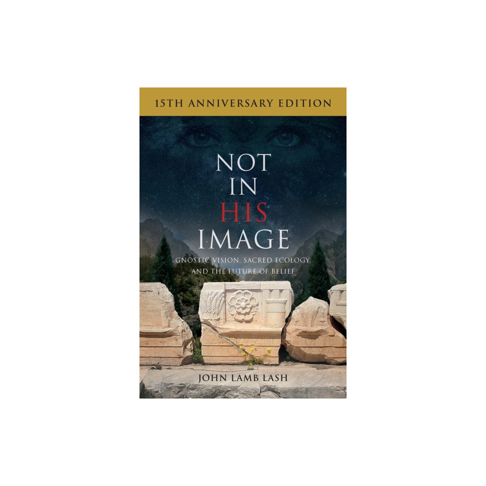 Produktbild för Not in His Image (15th Anniversary Edition) (häftad, eng)