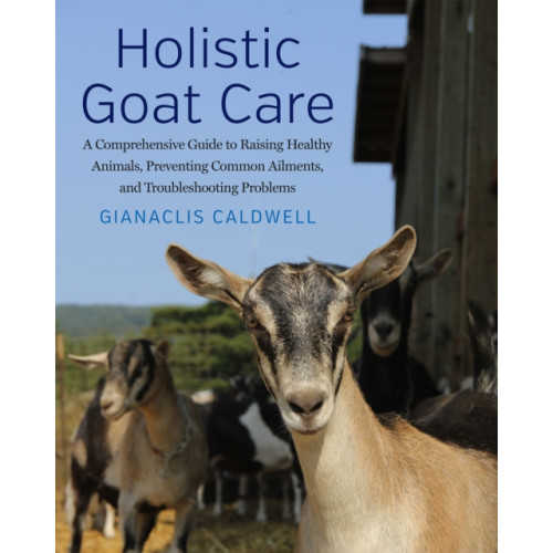 Chelsea Green Publishing Co Holistic Goat Care (häftad, eng)