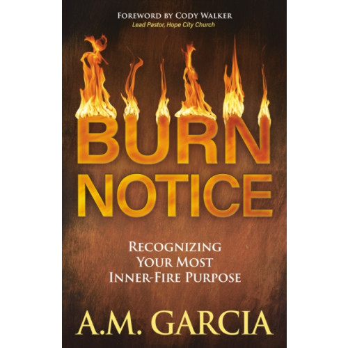 Morgan James Publishing llc Burn Notice (häftad, eng)