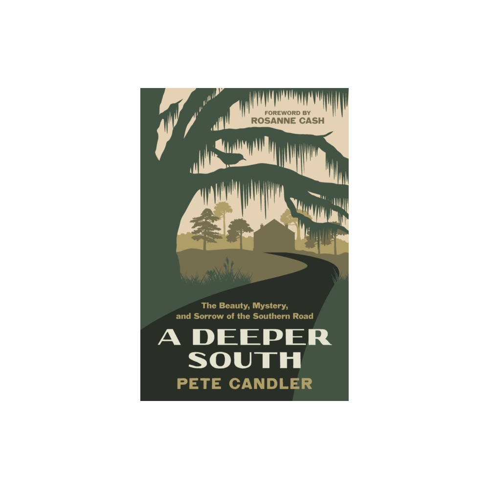 Produktbild för A Deeper South (häftad, eng)