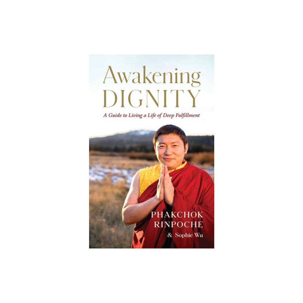 Produktbild för Awakening Dignity (häftad, eng)
