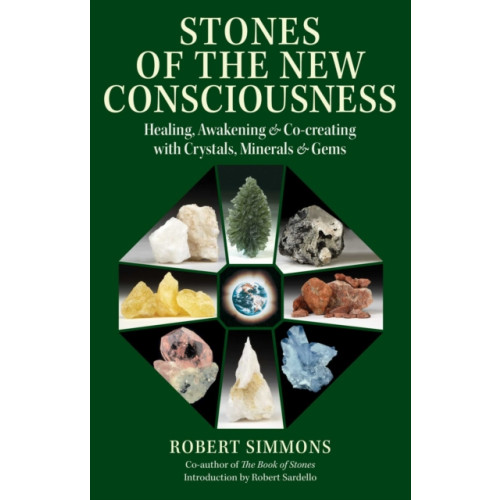 Inner Traditions Bear and Company Stones of the New Consciousness (häftad, eng)