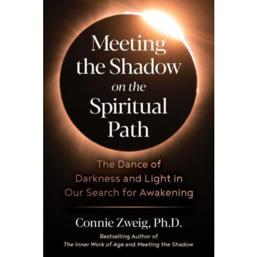 Inner Traditions Bear and Company Meeting the Shadow on the Spiritual Path (häftad, eng)