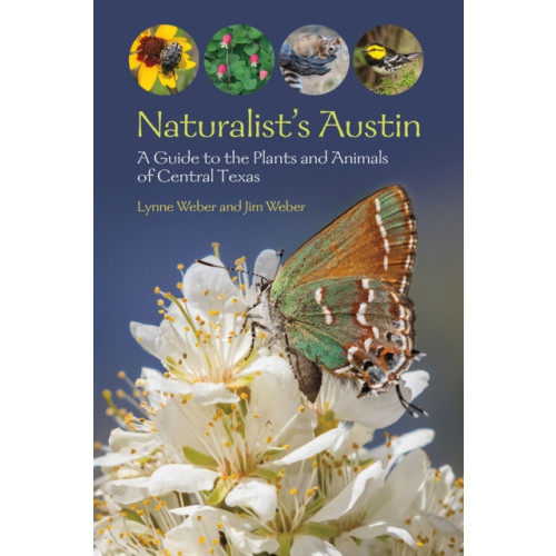 Texas A & M University Press Naturalist's Austin (häftad, eng)