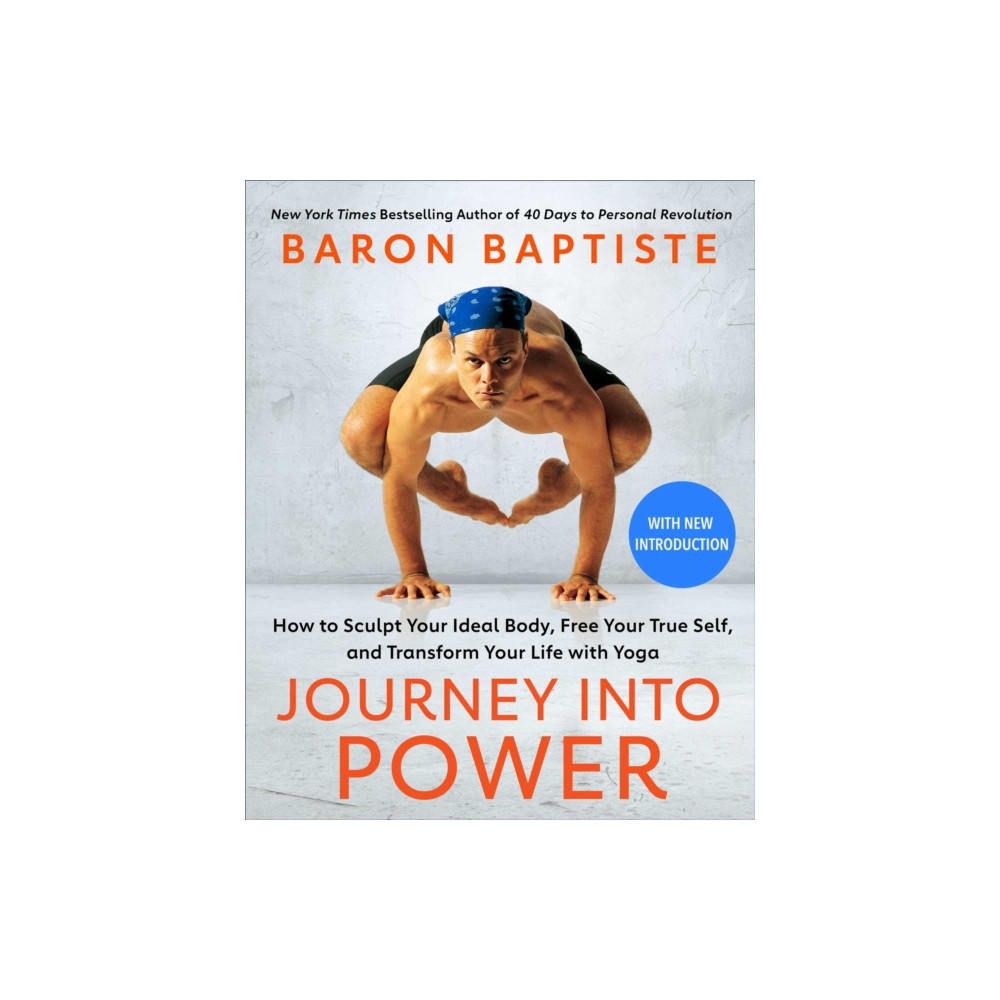 Produktbild för Journey into Power (häftad, eng)