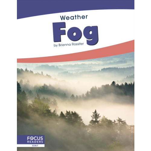 North Star Editions Fog (häftad, eng)