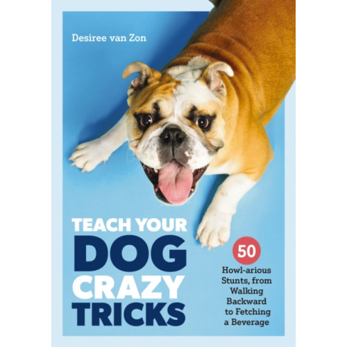 HarperCollins Focus Teach Your Dog Crazy Tricks (häftad, eng)