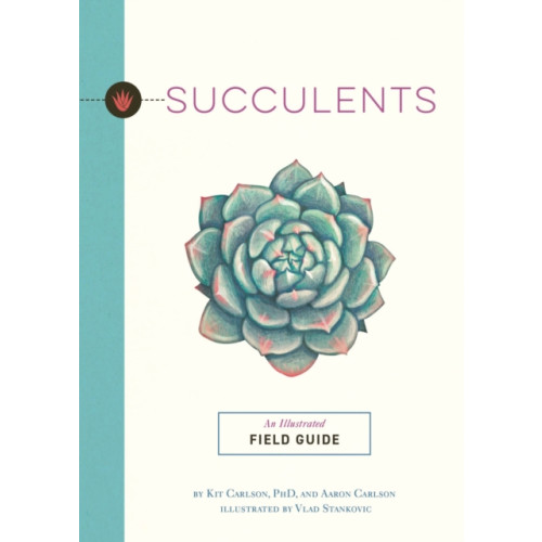 HarperCollins Focus Succulents (häftad, eng)