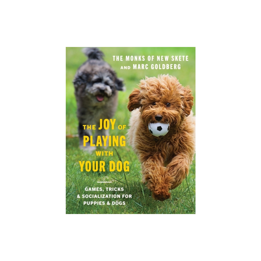 Produktbild för The Joy of Playing with Your Dog (inbunden, eng)