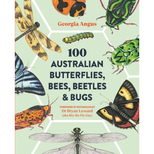 Hardie Grant Explore 100 Australian Butterflies, Bees, Beetles & Bugs (häftad, eng)
