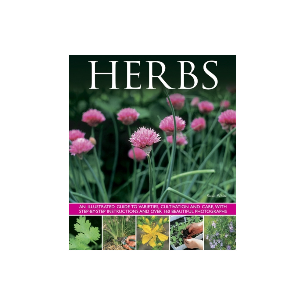 Produktbild för Herbs (inbunden, eng)