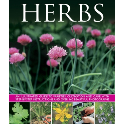 Anness publishing Herbs (inbunden, eng)