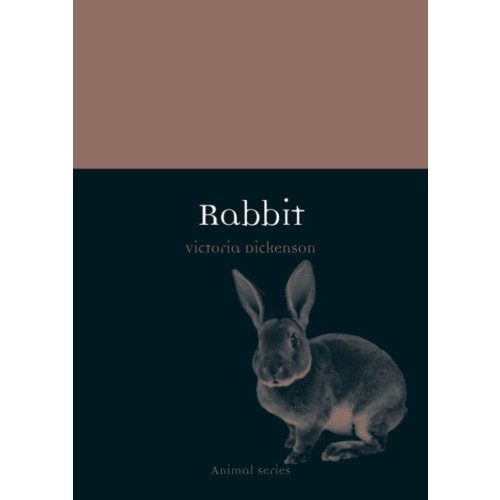 Reaktion Books Rabbit (häftad, eng)