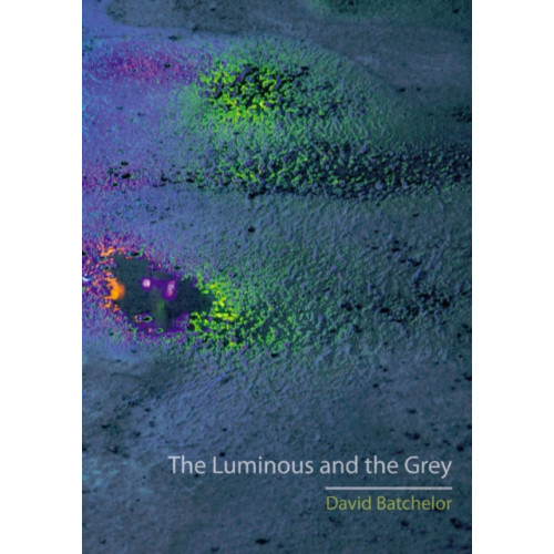 Reaktion Books The Luminous and the Grey (häftad, eng)