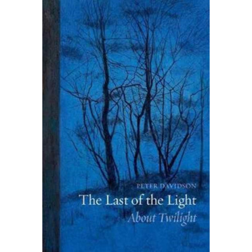 Reaktion Books The Last of the Light (häftad, eng)