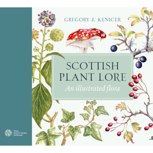 Birlinn General Scottish Plant Lore (inbunden, eng)