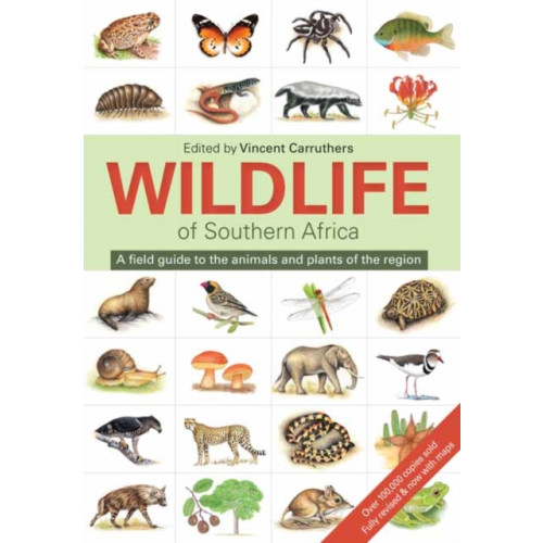 Penguin Random House South Africa The Wildlife of Southern Africa (häftad, eng)