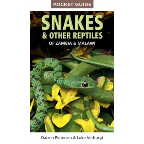 Penguin Random House South Africa Pocket Guide to Snakes & Other Reptiles of Zambia and Malawi (häftad, eng)