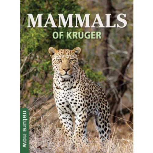 Penguin Random House South Africa Mammals of Kruger (häftad, eng)