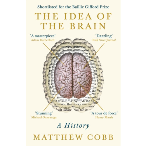 Profile Books Ltd The Idea of the Brain (häftad)