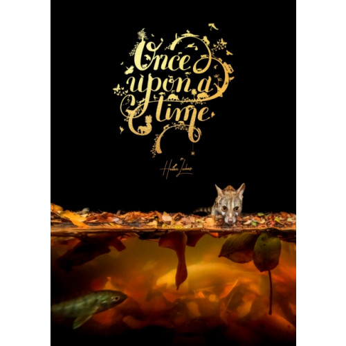 HPH Publishing Once Upon a Time (inbunden, eng)