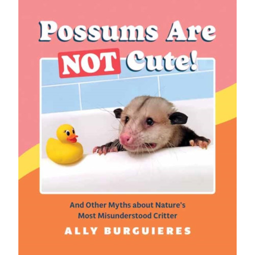 Quirk Books Possums Are Not Cute (inbunden, eng)