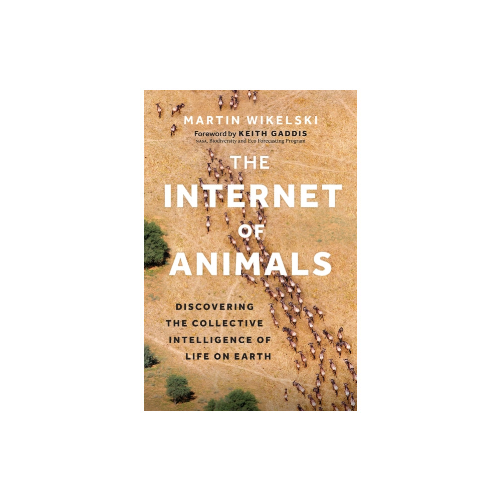 Produktbild för The Internet of Animals (inbunden, eng)
