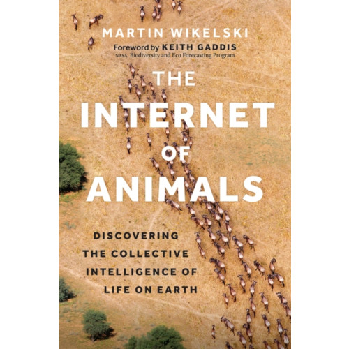 Greystone Books,Canada The Internet of Animals (inbunden, eng)