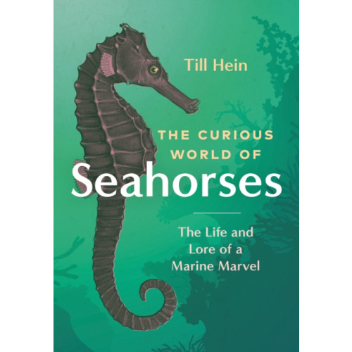 Greystone Books,Canada The Curious World of Seahorses (inbunden, eng)