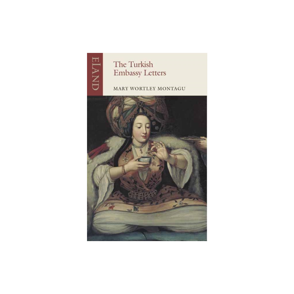 Produktbild för The Turkish Embassy Letters (häftad, eng)