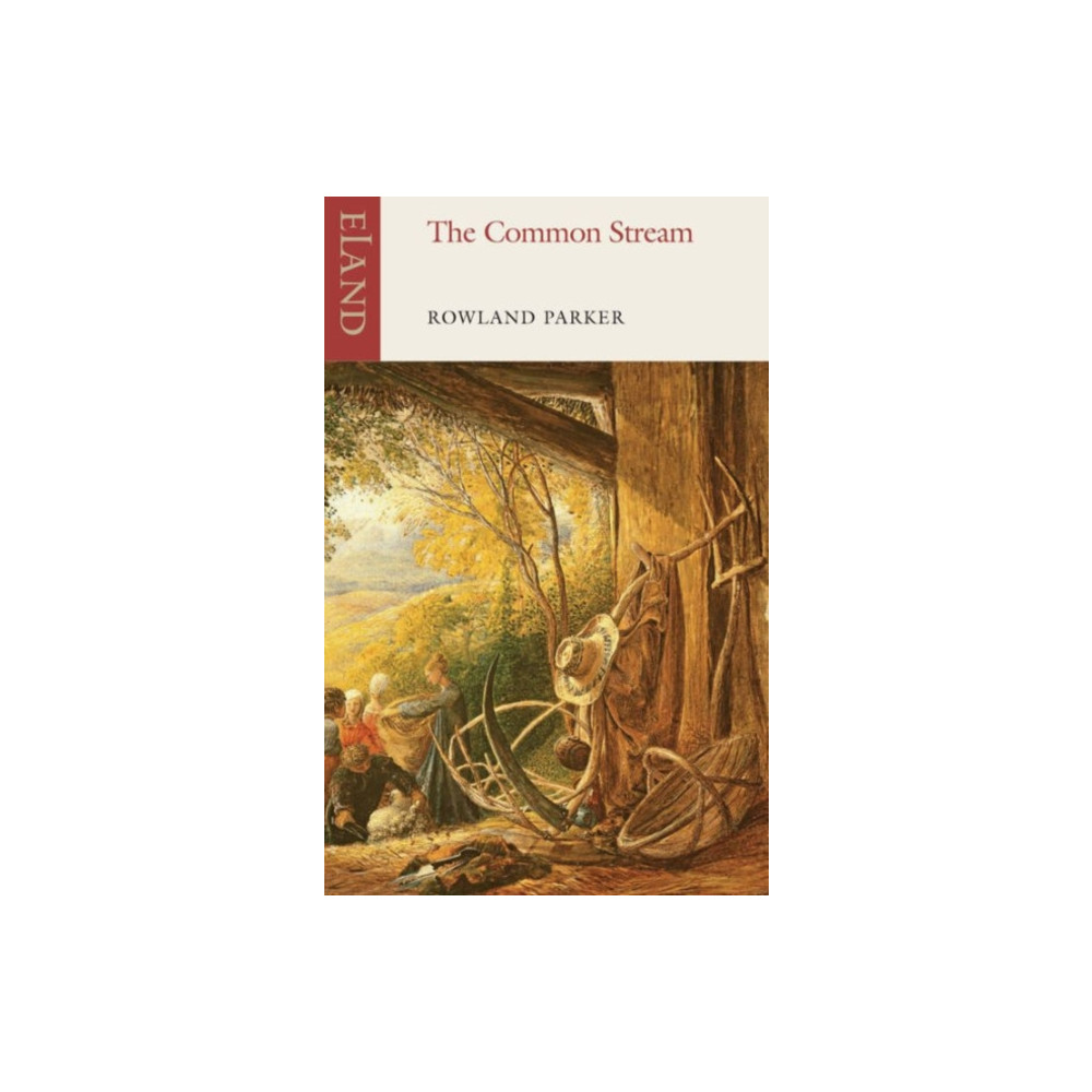 Produktbild för The Common Stream (häftad, eng)