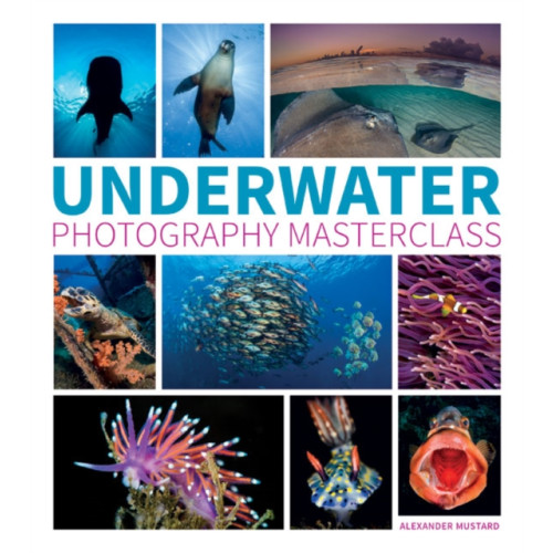 GMC Publications Underwater Photography Masterclass (häftad, eng)