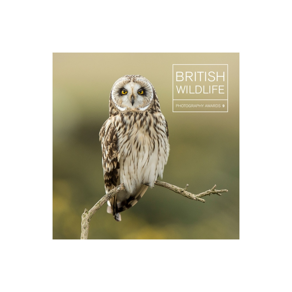 Produktbild för British Wildlife Photography Awards 9 (inbunden, eng)