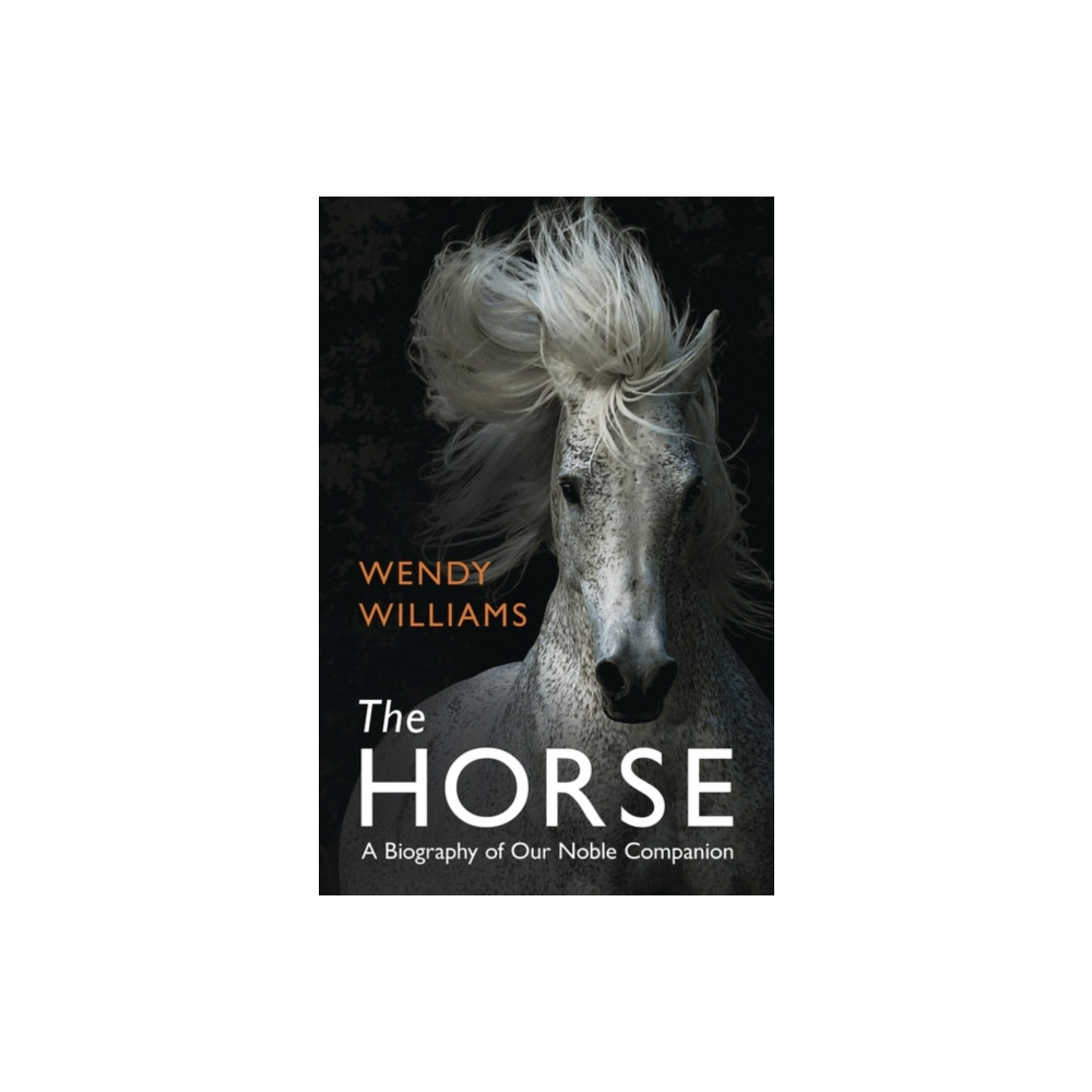 Produktbild för The Horse (häftad, eng)