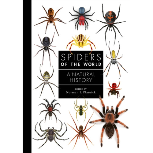 Quarto Publishing Plc Spiders of the World (inbunden, eng)